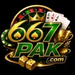 667pak game