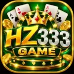 hz333 game